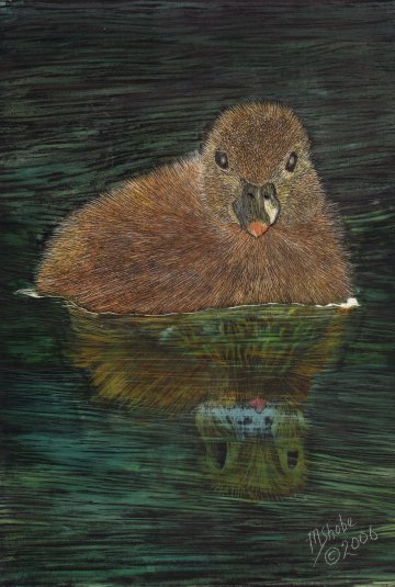 Bruce (Duck)