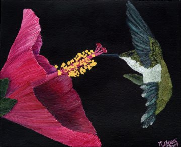 Hummingbird Flight