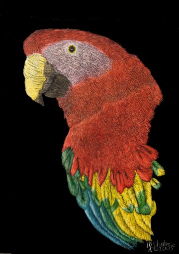 Parrott
