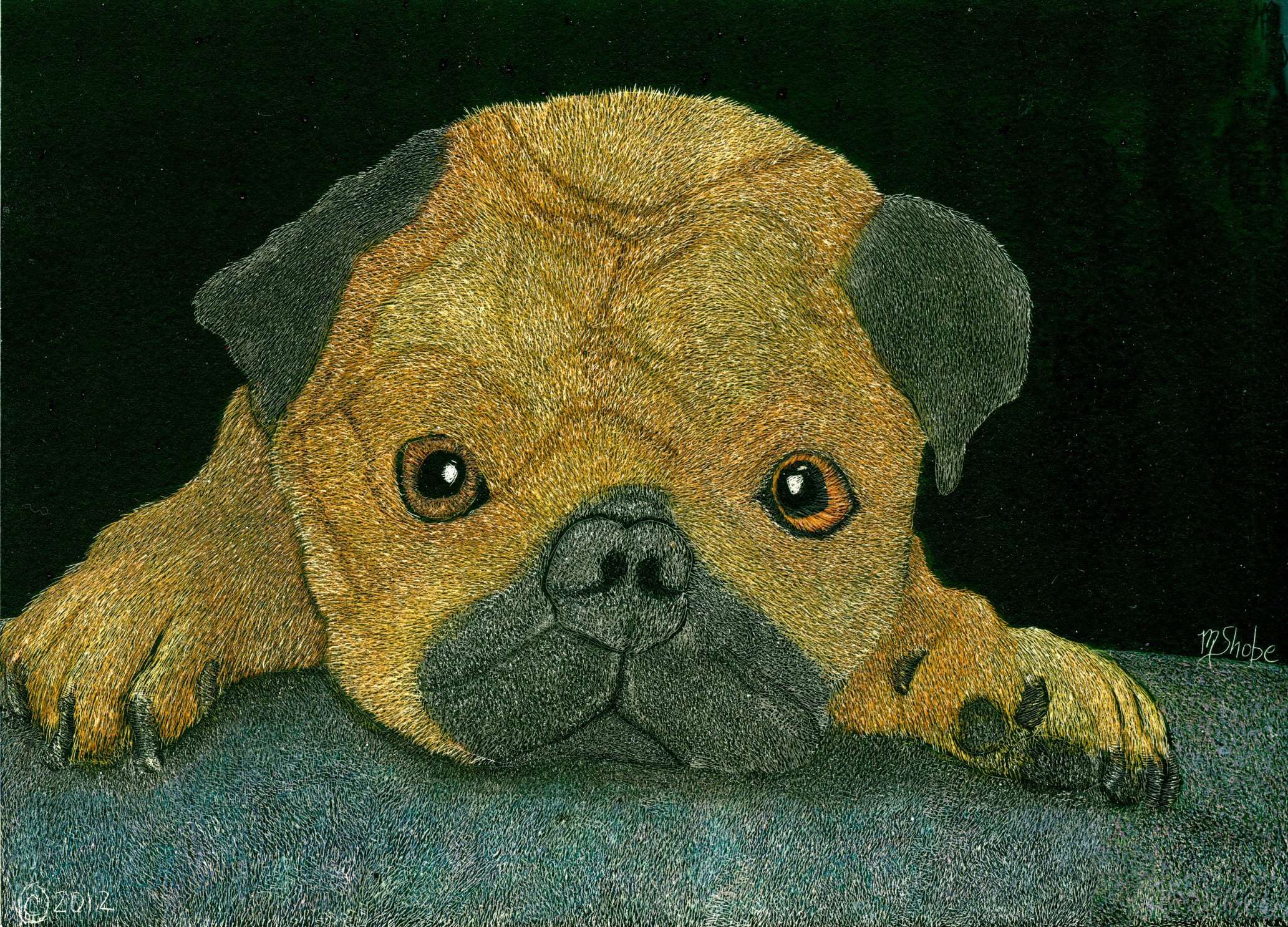 Pug